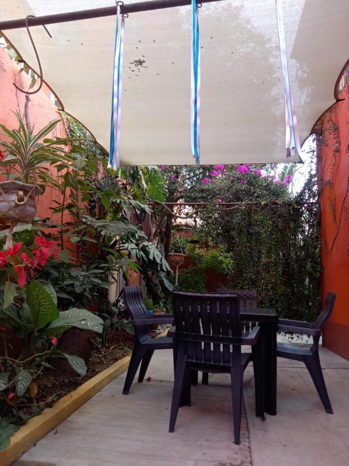 Casa Guanab Guest House Oaxaca Exterior photo