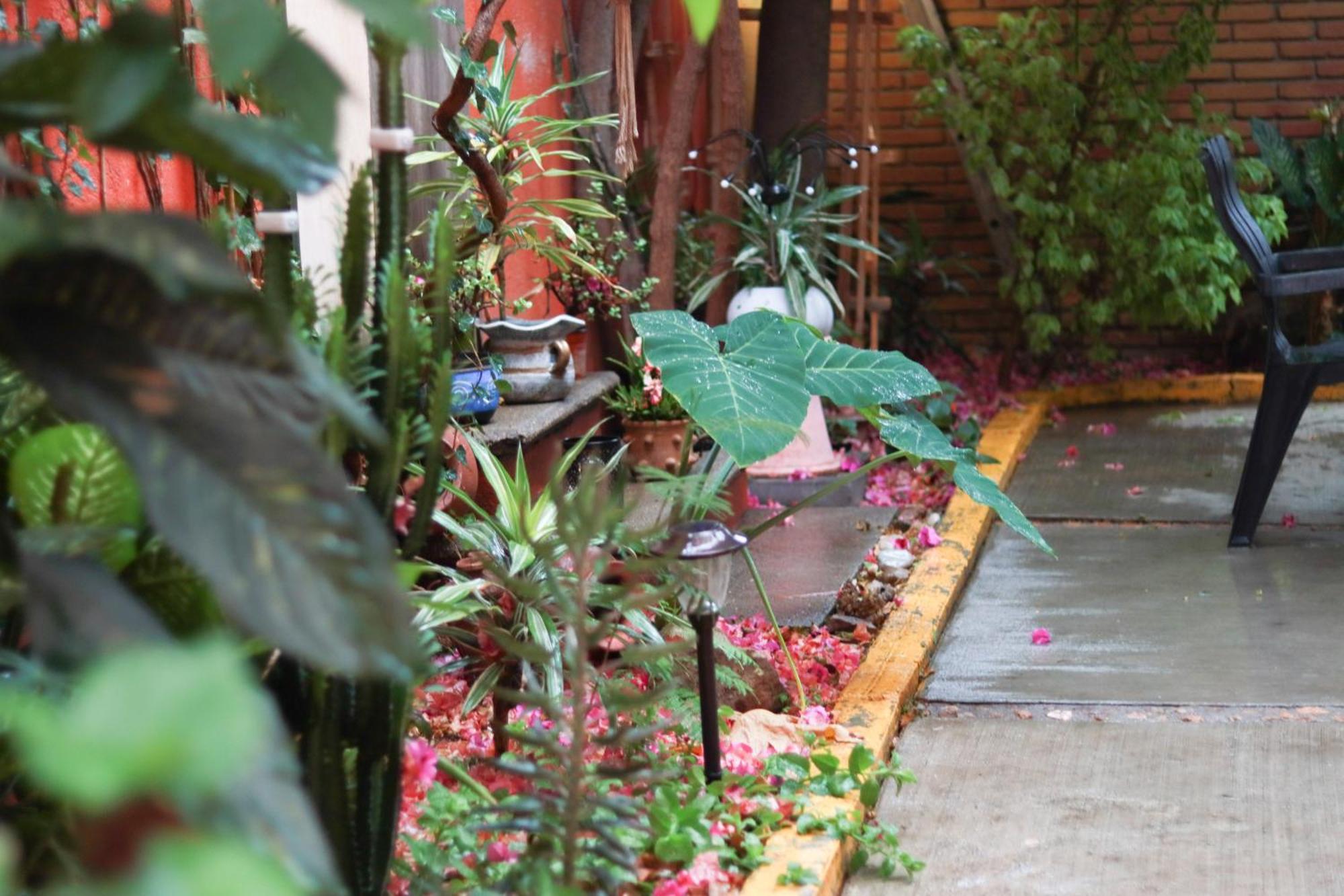 Casa Guanab Guest House Oaxaca Exterior photo