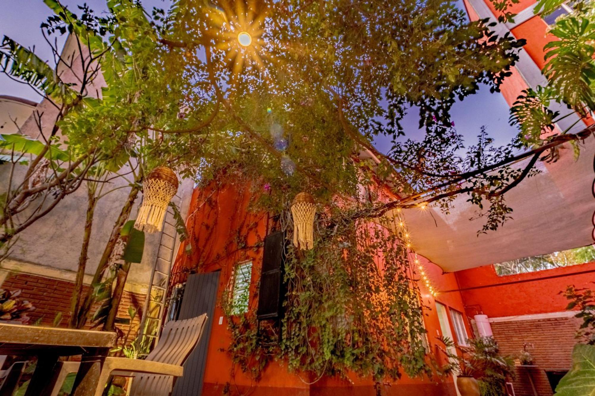 Casa Guanab Guest House Oaxaca Exterior photo
